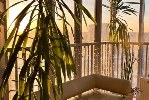 Отель «Sky Garden»