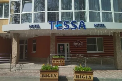Отель «Тесса» — фото 1