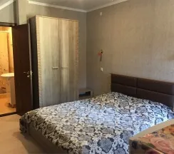 Гостиничный номер Стандарт 2-х местный