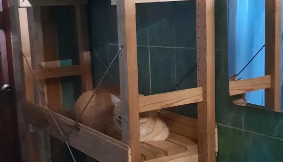 Коттедж «Благодать!»
