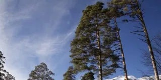 Гостевой дом «Лунный дом» — фото 4